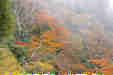 Ƃ܂