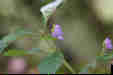 ܂ĂĂ