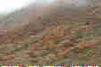 Ƃ܂