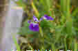 ܂ĂĂ