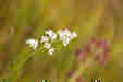 ܂ĂĂ