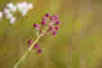 ܂ĂĂ