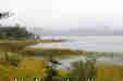 ܂ĂĂ