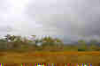܂ĂĂ