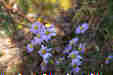 Ƃ܂