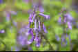 Ƃ܂