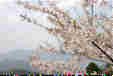 Ƃ܂