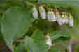 Ƃ܂