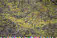 Ƃ܂