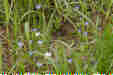 Ƃ܂