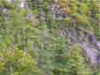 Ƃ܂
