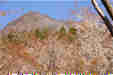 Ƃ܂