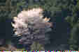 Ƃ܂