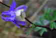 Ƃ܂